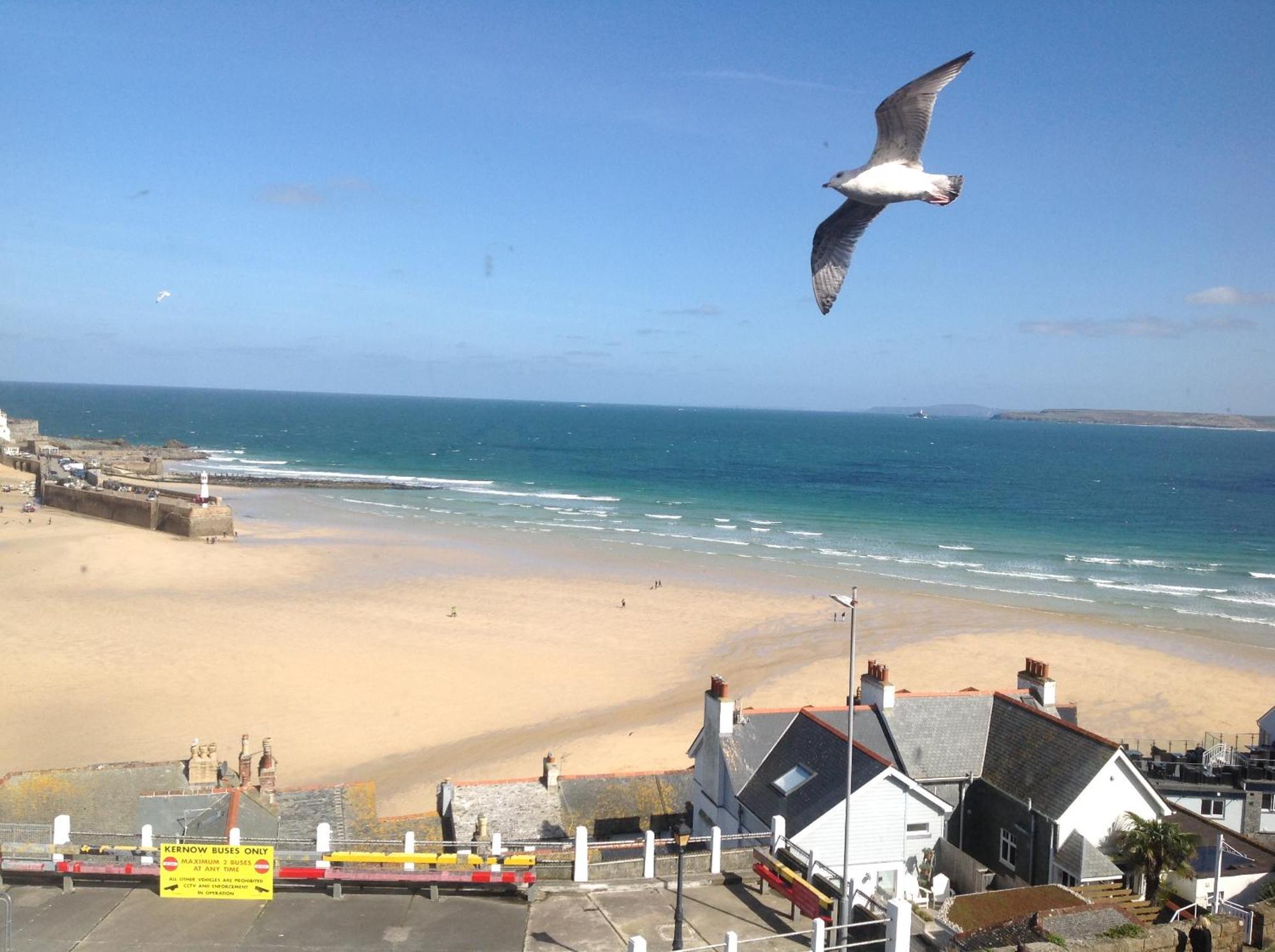 Golden Hind Bed & Breakfast St Ives Dış mekan fotoğraf